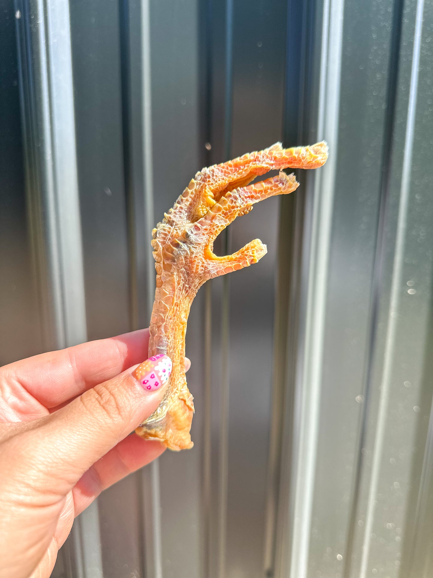 Chicken Foot