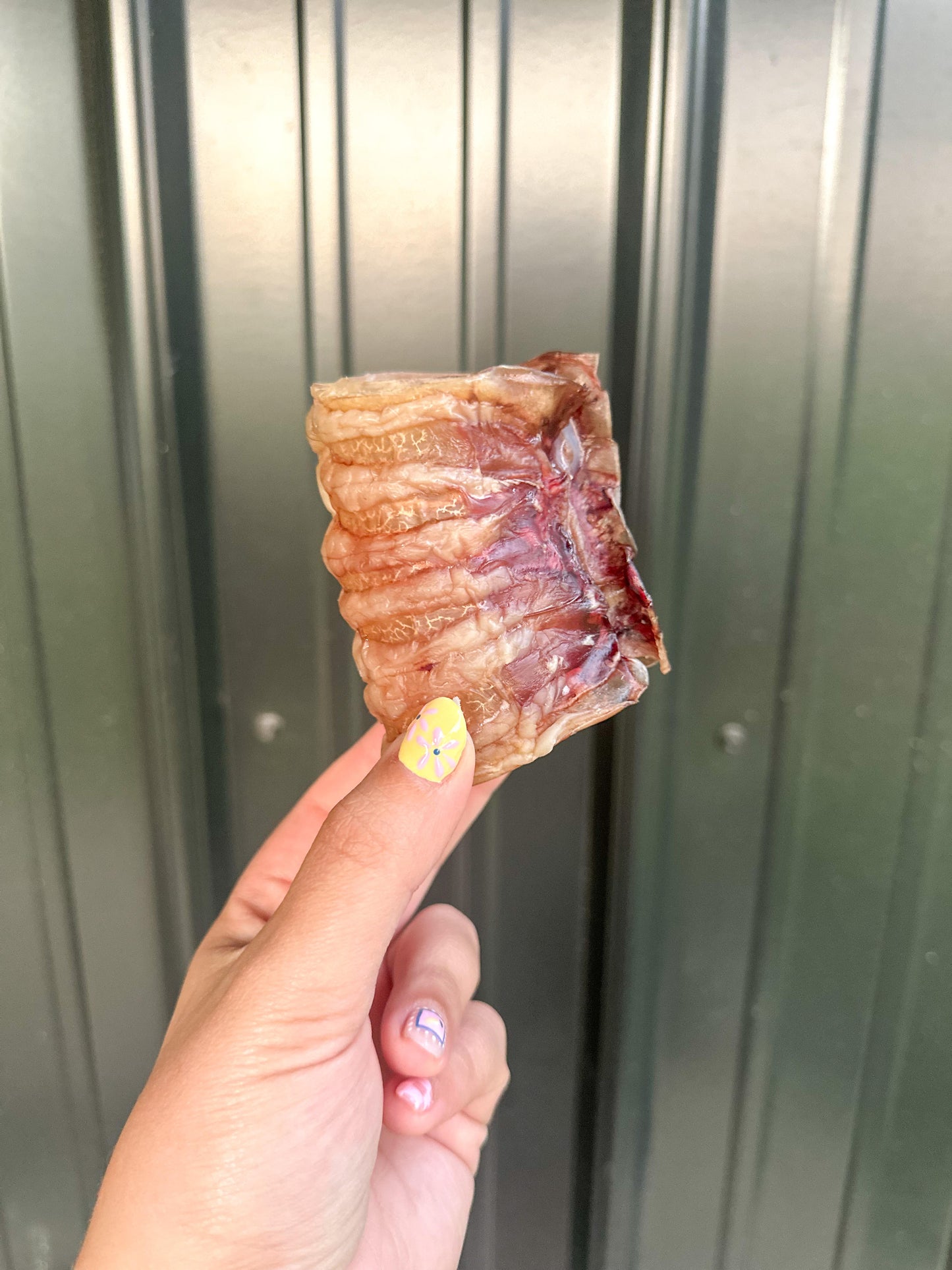 Trachea Chunk