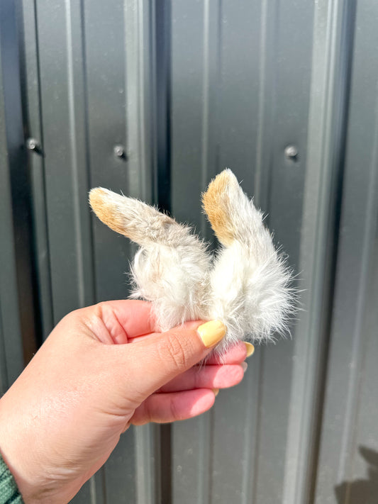 Rabbit Front Foot