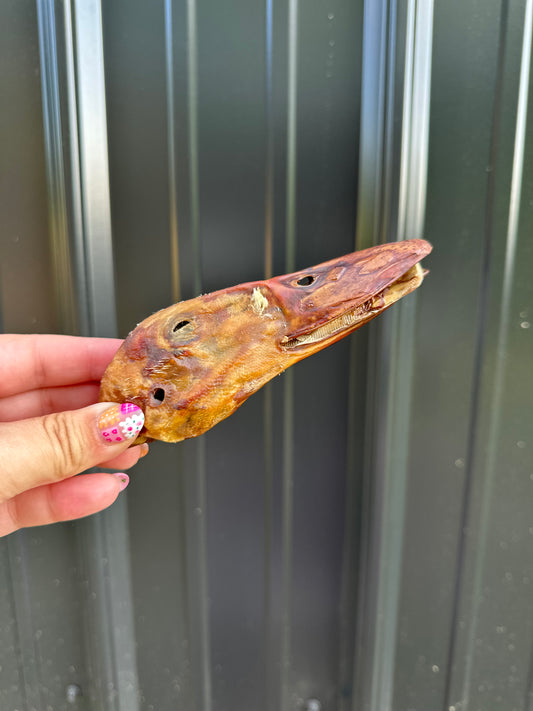 Duck Head