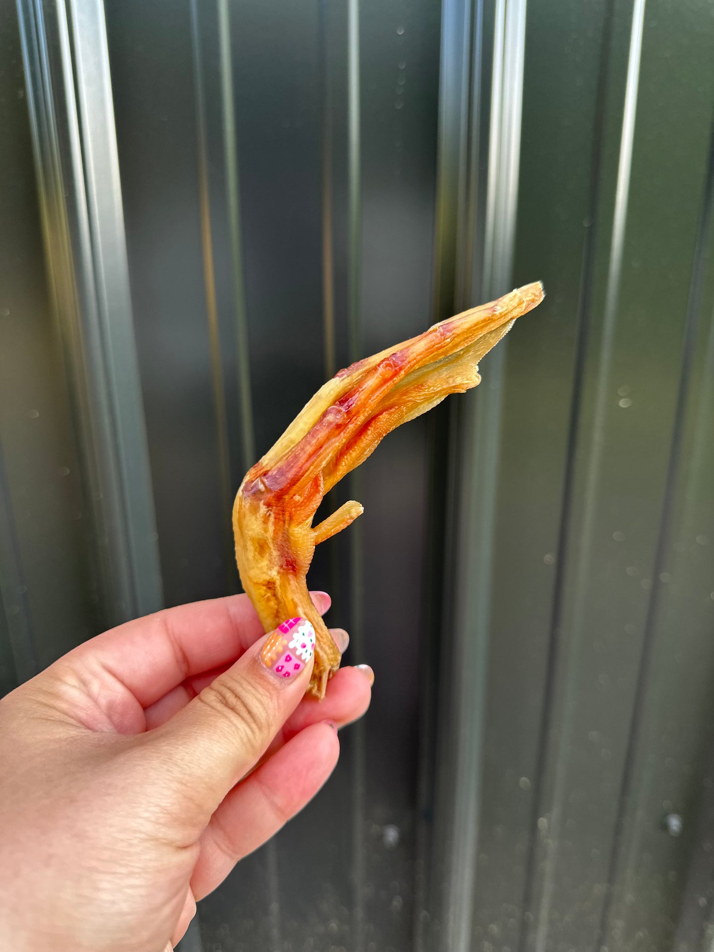 Duck Foot