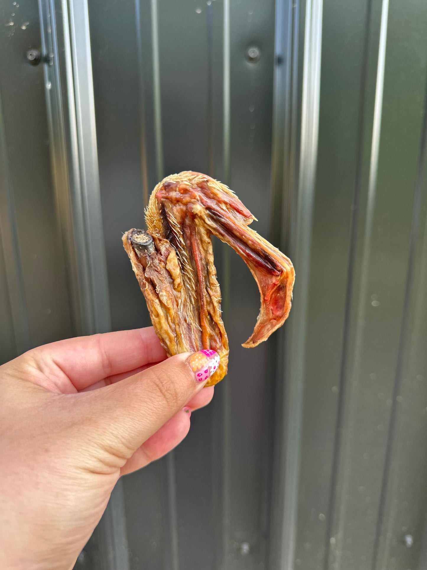 Duck Wing