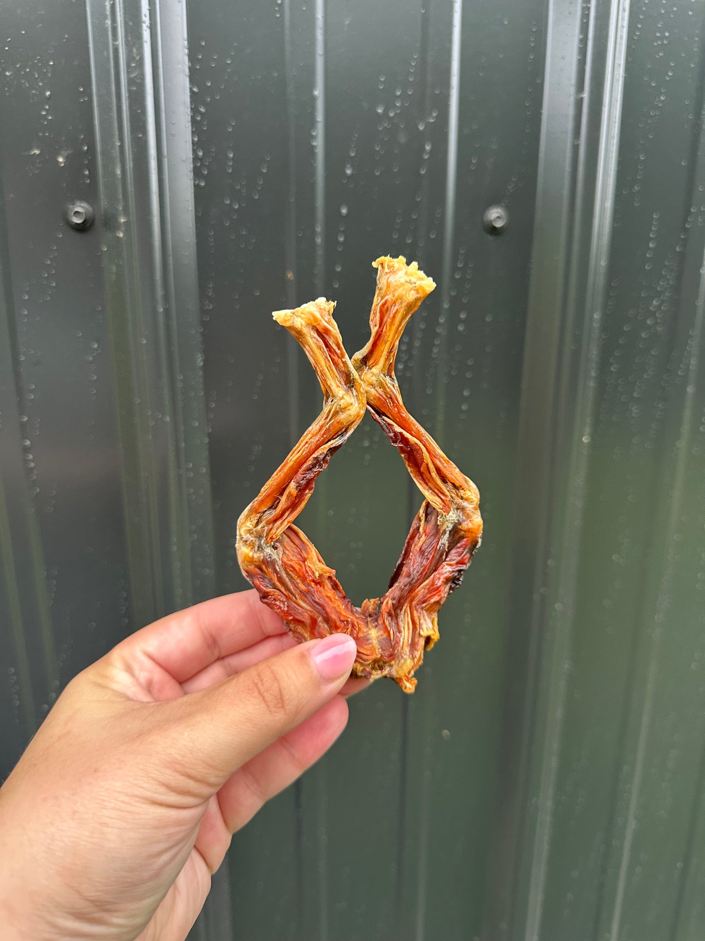 Frog Leg