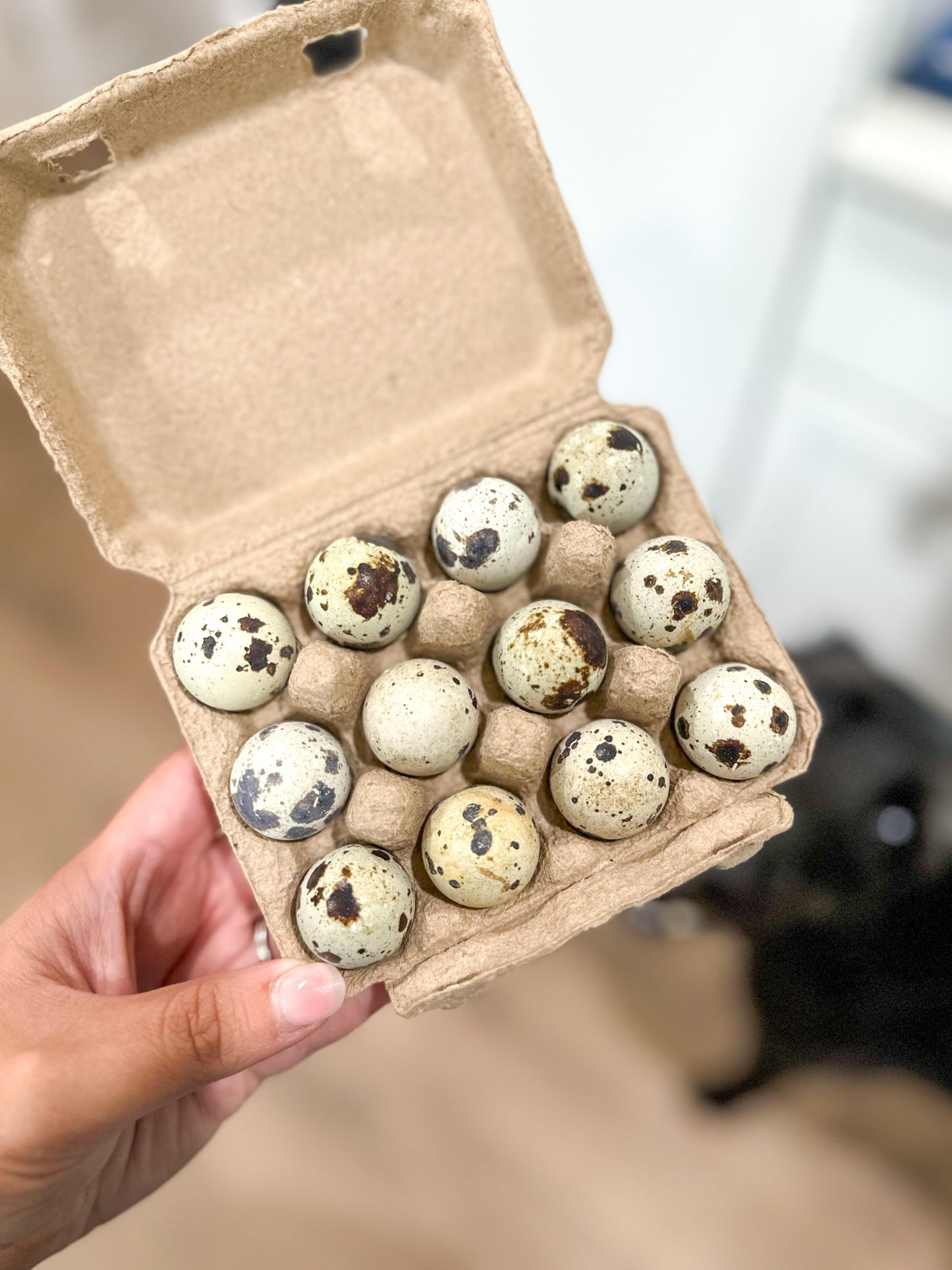 Quail Eggs
