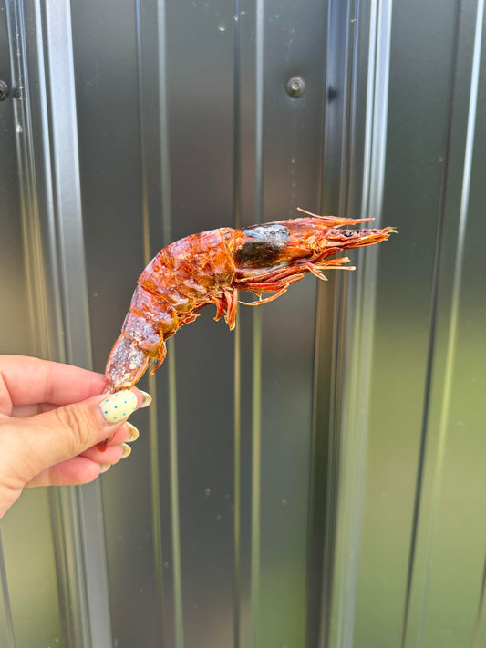 Shrimp