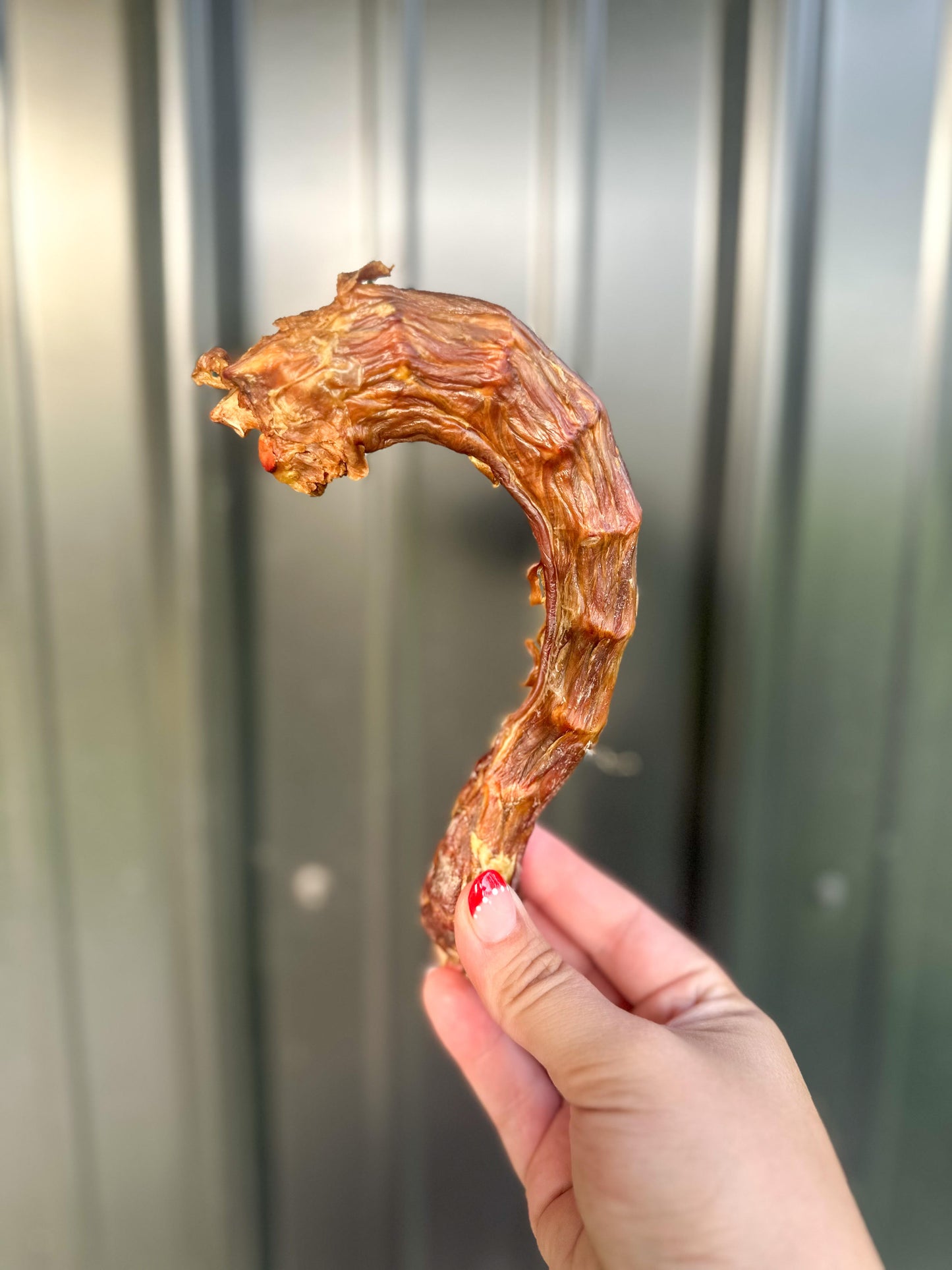 Turkey Neck